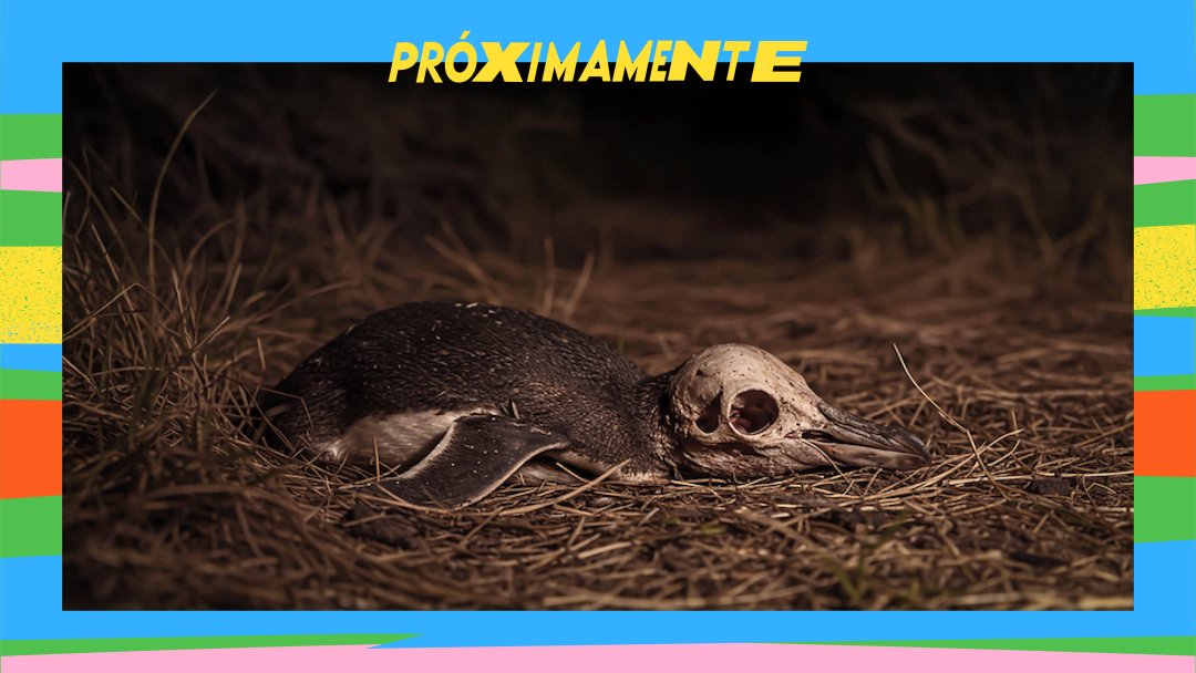 Ojo salvaje